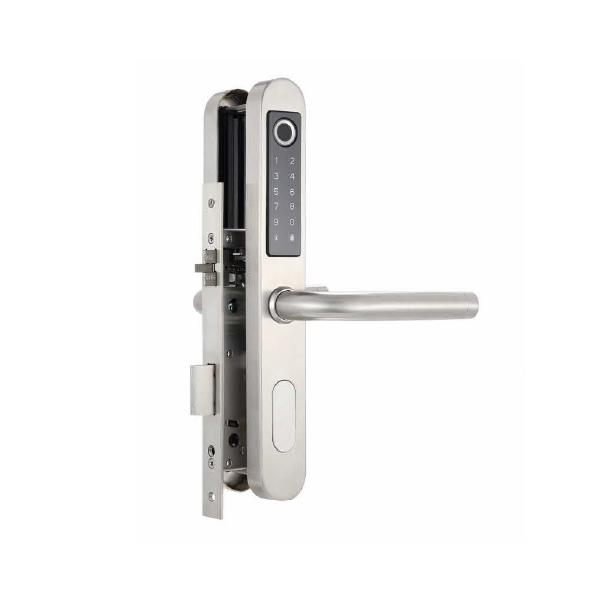 Smart Lock aluminium glass door W05