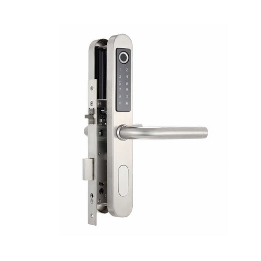 Smart Lock aluminium glass door W05