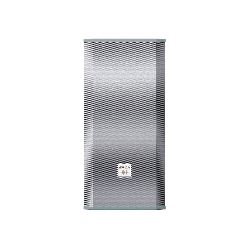 Network Outdoor BT Loudspeaker