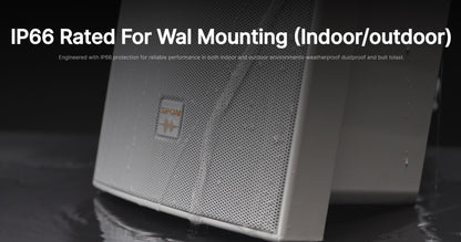 Network Cabinet Speaker