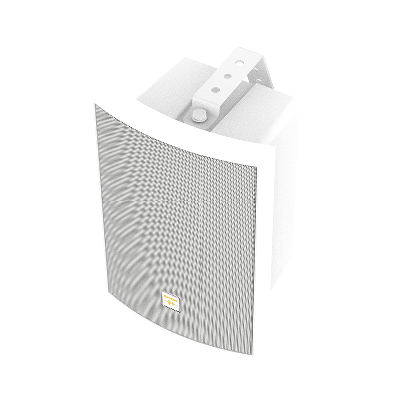 Network Cabinet Speaker