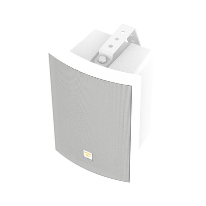 Network Cabinet Speaker