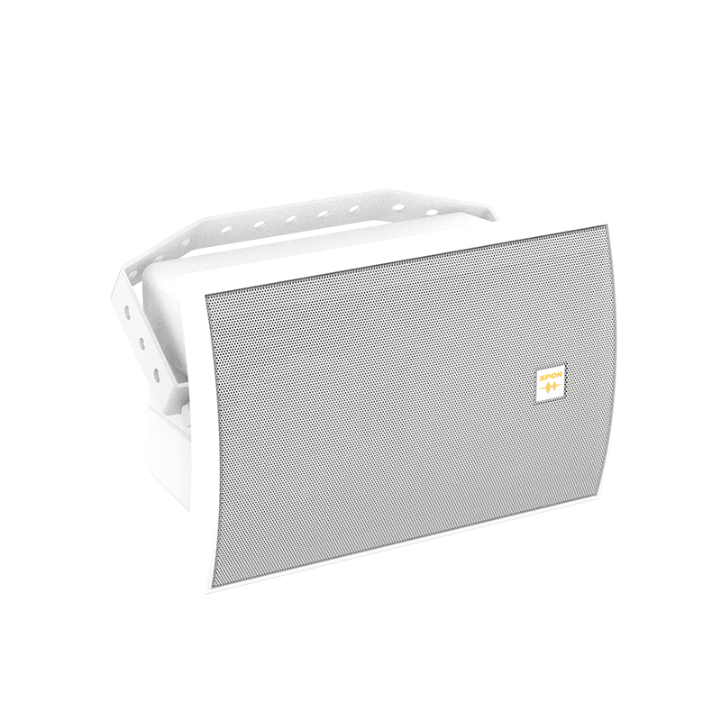 Network Cabinet Speaker